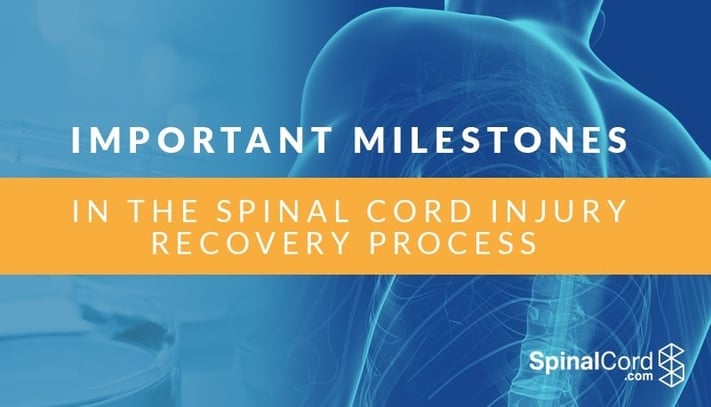 Important Milestones in the Spinal Cord Injury Recovery Process