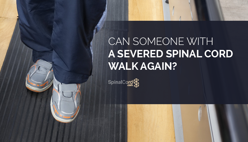 can someone with a severed spinal cord walk again severed spinal cord