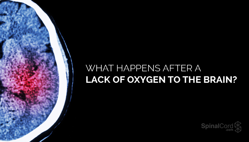 What happens when the brain is deprived of oxygen?