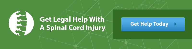 Spinal Cord Help