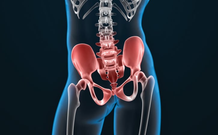 Lower spinal cord