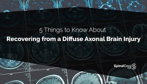 Brain scans with blog title over it 
