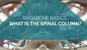 Backbone-with-blog-title-on-top-of-it