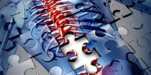 Missing-puzzle-piece-in-healing-spinal-cord-injury