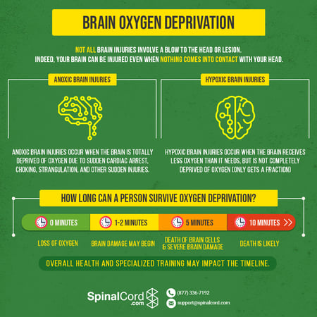 What Happens to the Brain After a Lack of Oxygen?