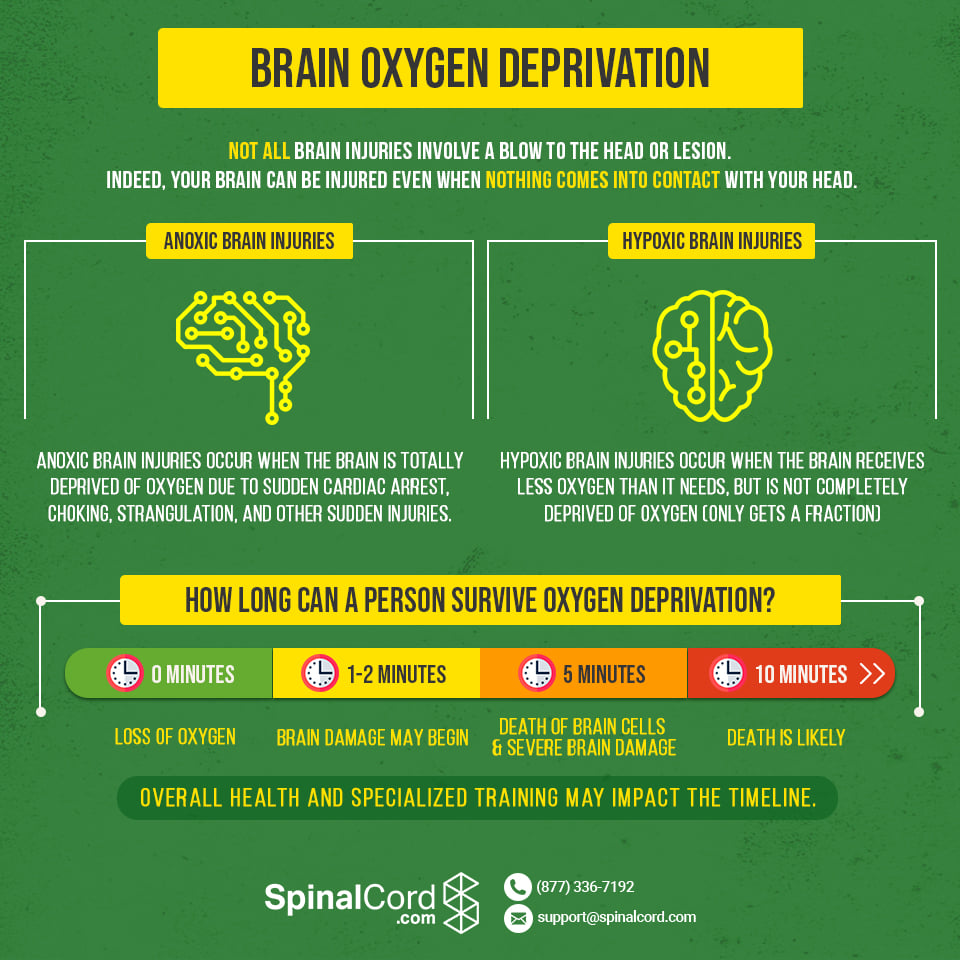 Cerebral Hypoxia, Cerebral Anoxia, Oxygen Deprivation Infographic