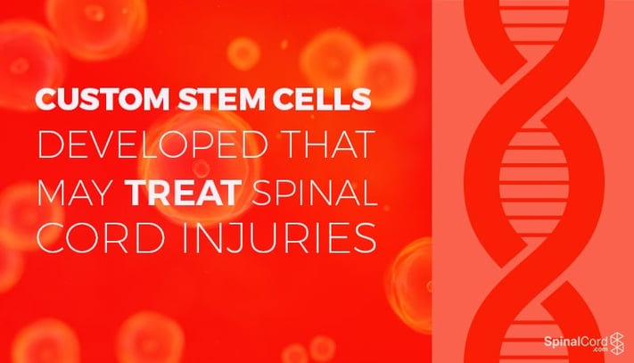Custom-Stem-Cells-Developed-That-May-Treat-Spinal-Cord-Injuries.jpg