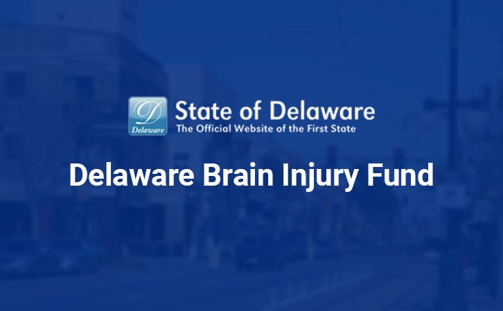 Delaware Brain Injury Fund