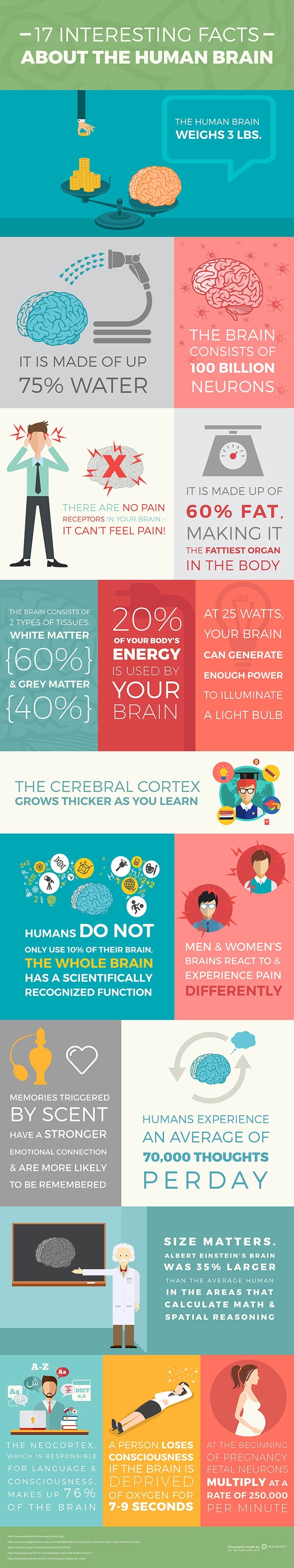 17 Interesting Facts About The Human Brain