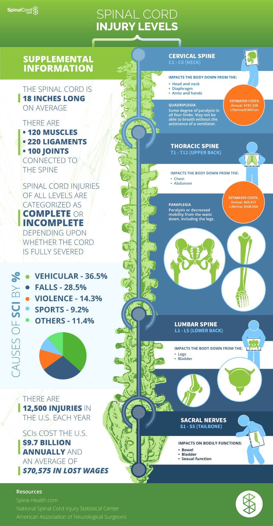 The Spinal Cord Injury Levels [Infographic]