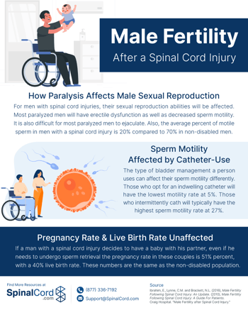 Male Fertility Statistics infographic