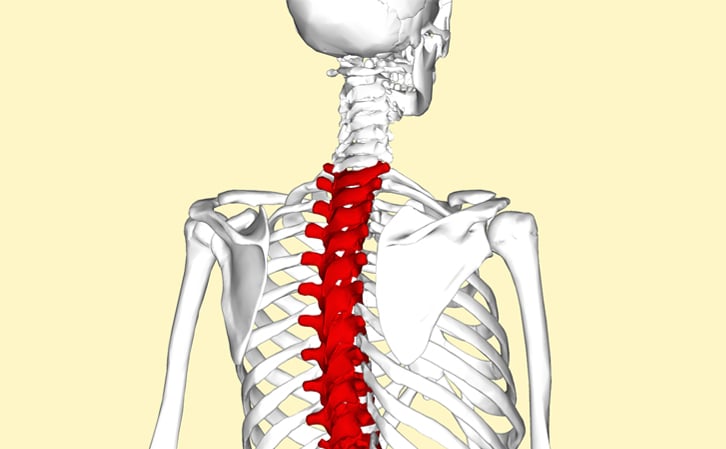 T level vertebrae Injury