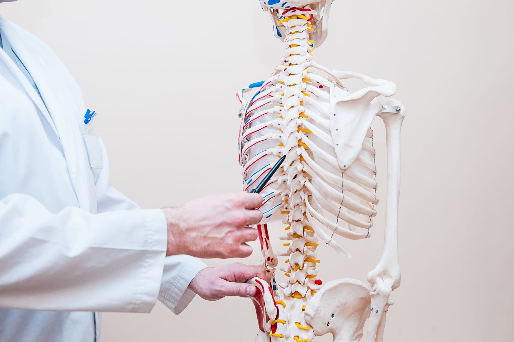 medical doctor man pointing at spinal cord injury areas using human skeleton model