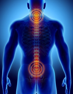 highlight-of-cervical-and-sacral-spine