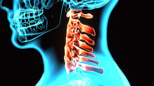 Cervical-vertebrae-illustration-min