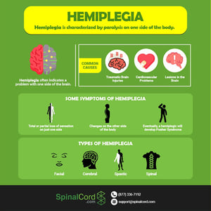 Hemiplegia-Infographic