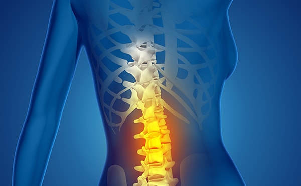 T9 - T12 Vertebrae Thoracic Spinal Cord Injury