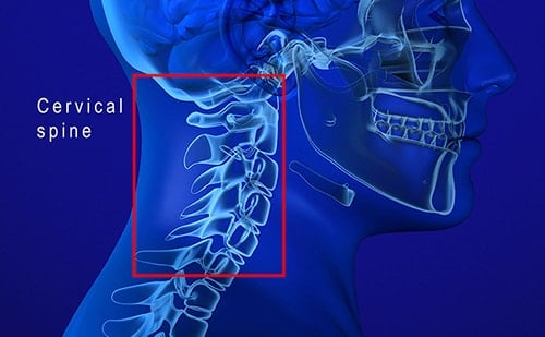 Cervical Spine Anatomy & Clinical Significances - Anatomy Info