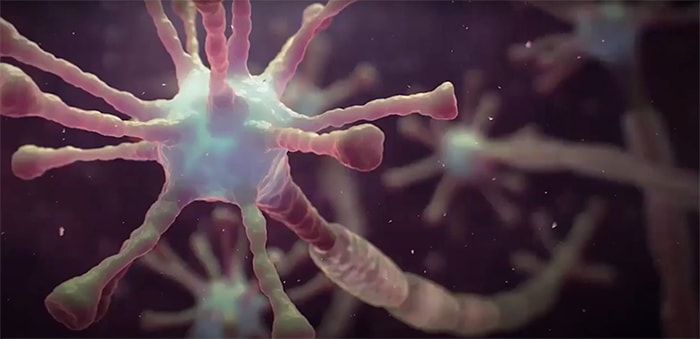 c6-c7-c8-video-image