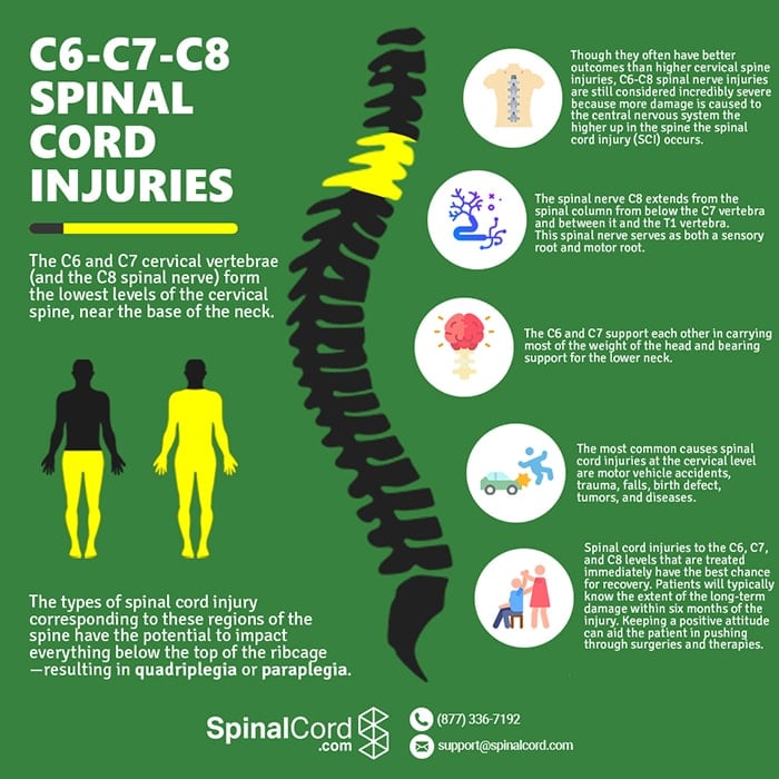 cervical spine c6 c7 c8 spinal cord injury
