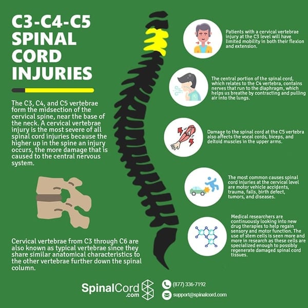 cervical-spine-c3-c4-c5-spinal-cord-injuries-min