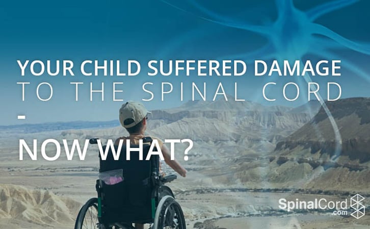 child in a wheelchair due to spinal cord injury