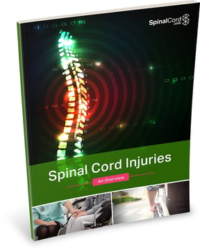 Simplified Guide to Understanding a Spinal Cord Injury