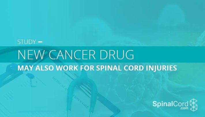 New Cancer Drug May Also Cure Spinal Cord Injuries