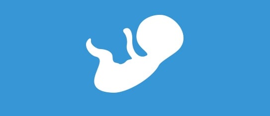 Fertility Specialist Directories
