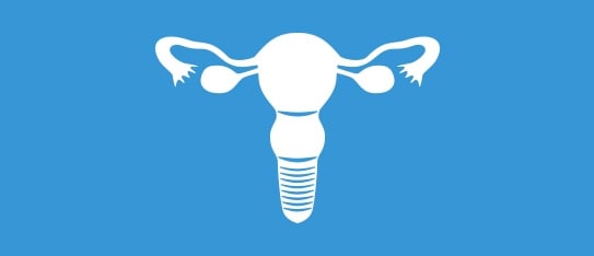 Gynecologist Directories