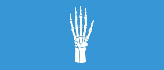 Hand Surgeon Directories