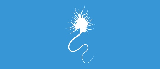 Neurologist Directories