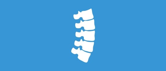 Spine Specialist Directories