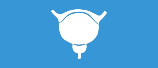 Urologist Directories