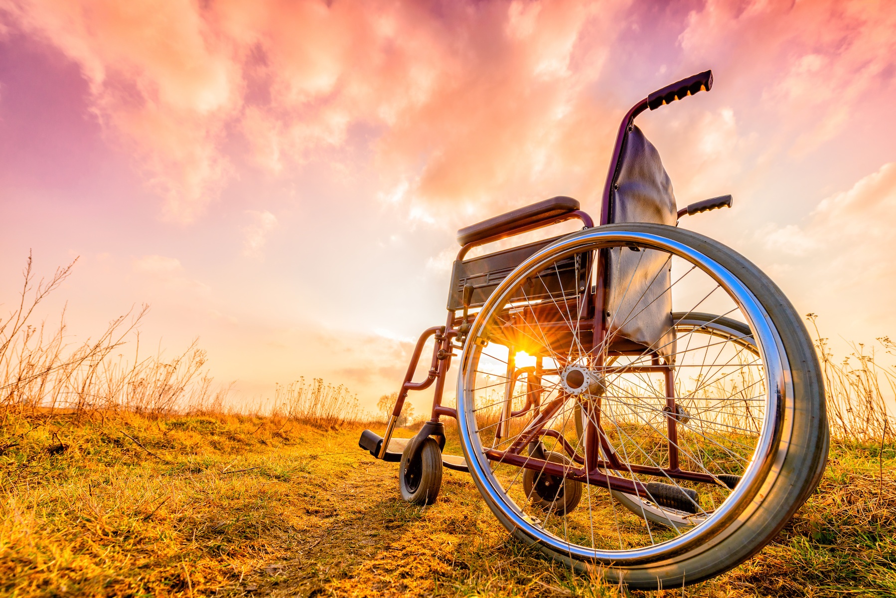 5 Famous People in Wheelchairs Who Will Inspire You