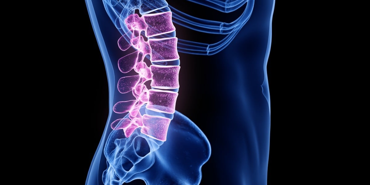Lumbar Spine Injury L1-L5 | Spinal Cord