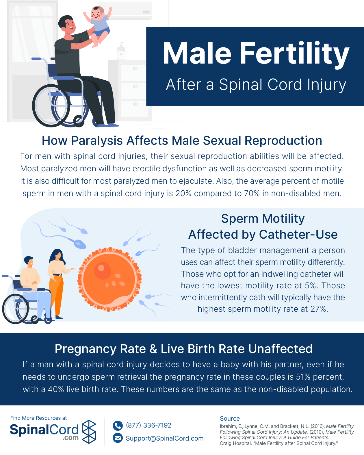 Male Fertility After a Spinal Cord Injury (Infographic)