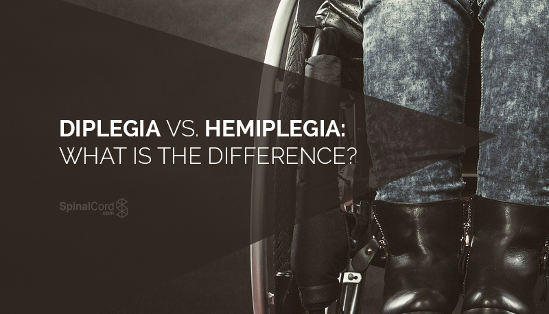 Diplegia vs. Hemiplegia What is the Difference Blog IMG.png