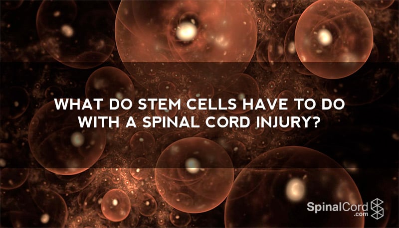 stem-cells-spinal-cord-injury-wb