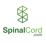 Spinal Cord Team