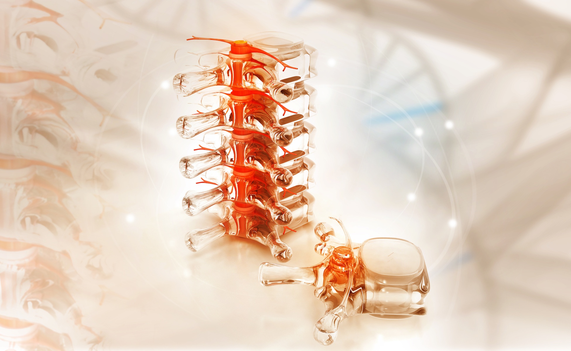 What You Need to Know About Spinal Cord Regeneration